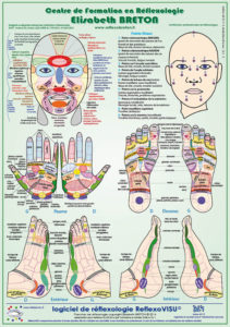 réflexologie Zones réflexes
